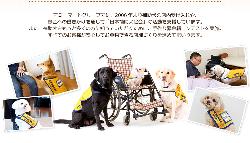 マミーマートグループでは、2006年より補助犬の店内受け入れや、募金への働きかけを通じて「日本補助犬協会」の活動を支援しています。
また、補助犬をもっと多くの方に知っていただくために、手作り募金箱コンテストを実施。すべてのお客様が安心してお買物できる店舗づくりを進めてまいります。