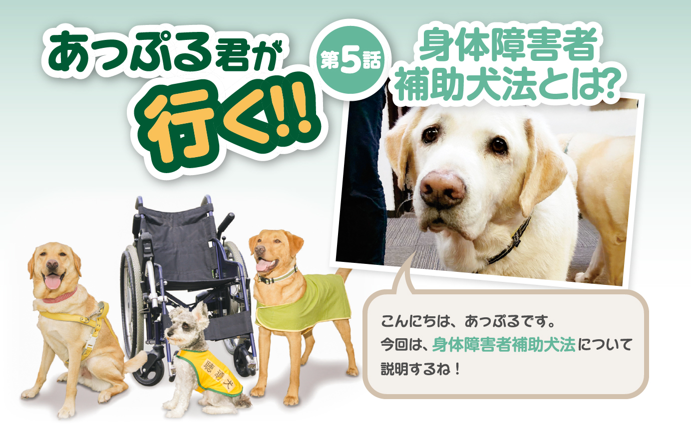 あっぷる君が行く！【第5話】身体障害者補助犬法とは？