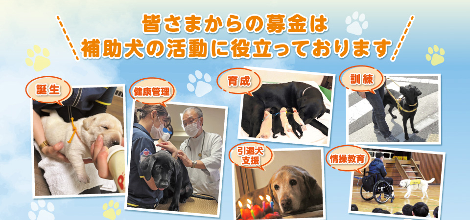 皆さまからの募金は補助犬の活動に役立っております