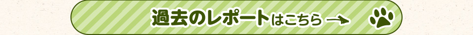 過去のレポートはこちら