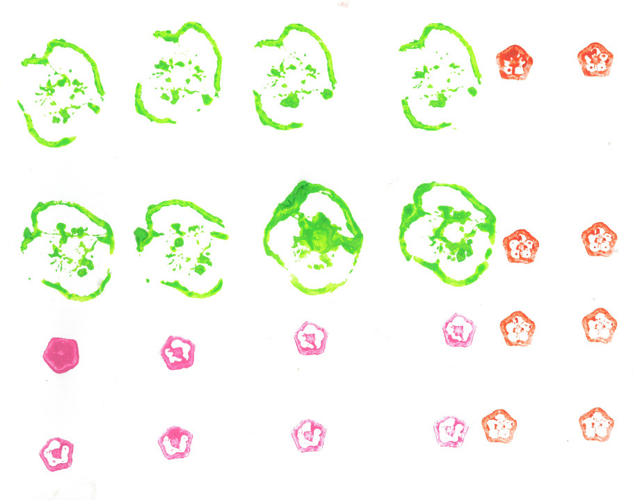 オクラとピーマンのかたち