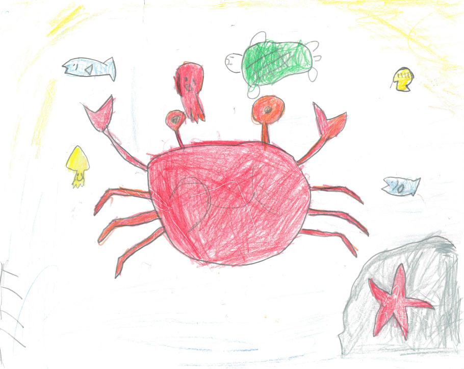 うみのなかのなかまたち