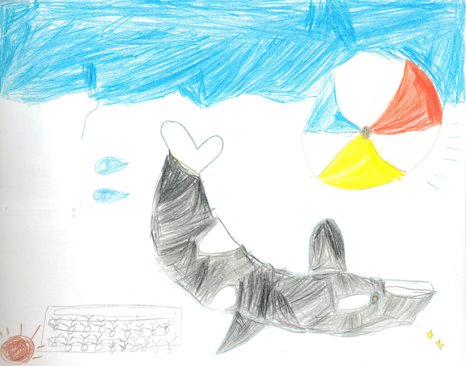 シャチのショー