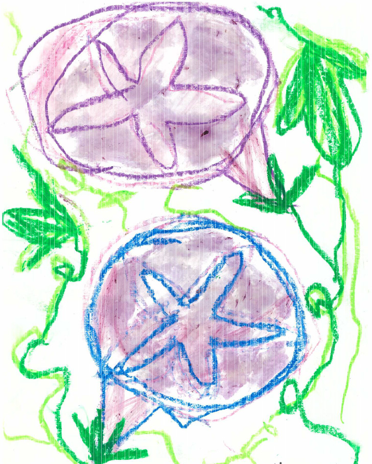 ぼくのあさがおさいたよ